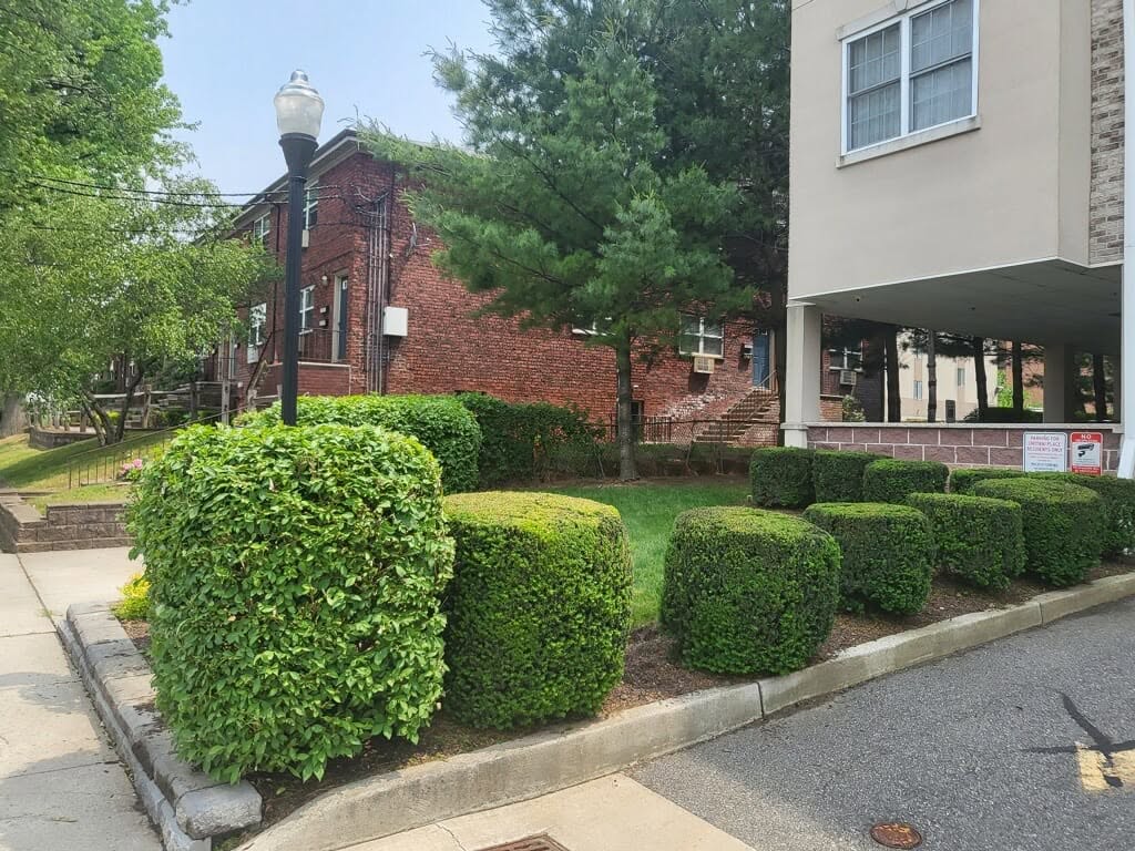 Exterior view of brick and painted buildings beside trimmed shrubs